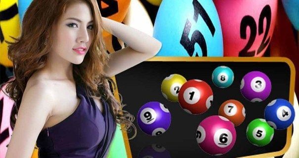 Lotto 20/80
